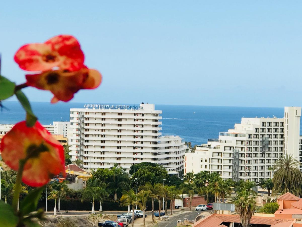 Smart Ocean View * Costa Adeje (Tenerife)